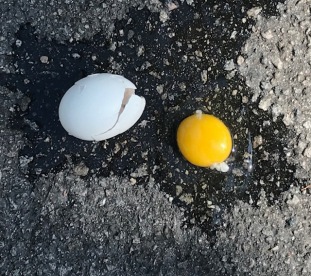 egg on pavement-IMG_0567